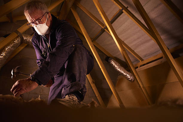 Best Residential Insulation in Sugarland Run, VA